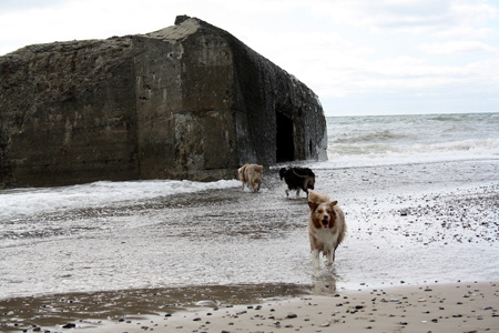 June 26th bunkers by the sea1