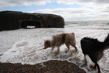 June 26th bunkers by the sea7