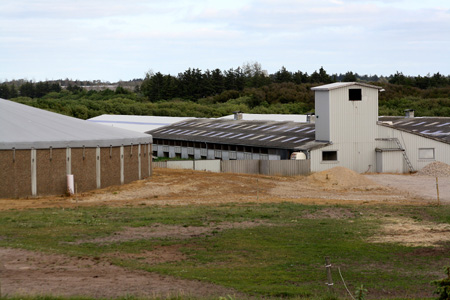 June 26th the farm next door