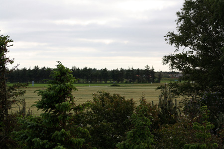 June 26th view from 2nd floor towards the road