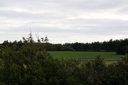 June 26th view from 2nd floor towards the road1