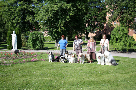 June 28th on our way home at Gripsholm castle in Mariefred