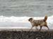 June 22nd Thyra jogging on the beach