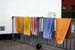 June 23rd dog towels