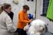 June 23rd preparing dogs for the show1