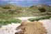 June 26th Dunes by the Atlantic ocean14