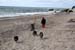 June 26th Dunes by the Atlantic ocean5