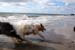 June 26th Thor and Sampo
