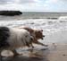 June 26th Thor and Sampo1