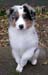 Albin