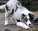 Albin4