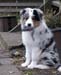 Albin7