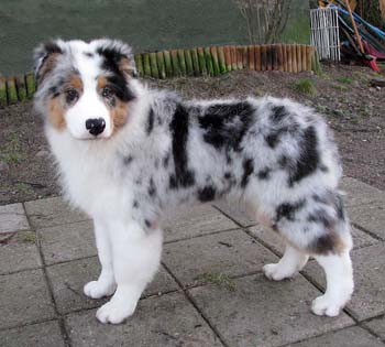 Albin at 4 months