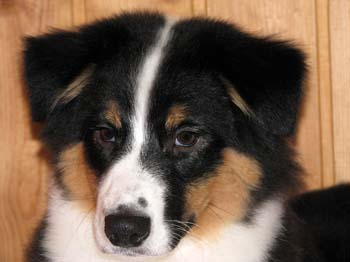 Signe at 4 months11
