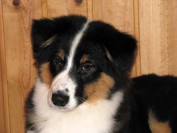Signe at 4 months12