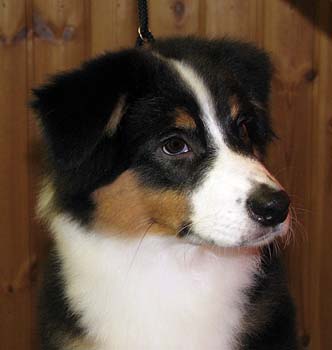 Signe at 4 months13