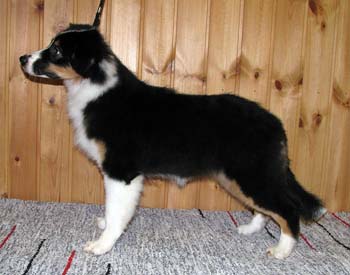 Signe at 4 months3
