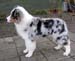 Albin at 4 months1
