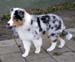 Albin at 4 months12