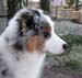 Albin at 4 months13