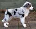 Albin at 4 months14