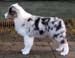 Albin at 4 months17