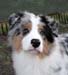 Albin at 4 months8