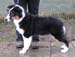 Signe at 4 months