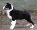 Signe at 4 months1