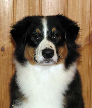 Signe at 5 months9