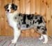 Albin at 5 months