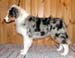 Albin at 5 months3