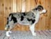 Albin at 5 months5