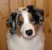 Albin at 5 months8