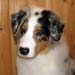 Albin at 5 months9