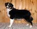 Signe at 5 months