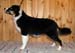 Signe at 5 months1