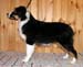Signe at 5 months2