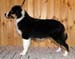 Signe at 5 months3