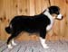 Signe at 5 months6