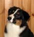 Signe at 5 months7