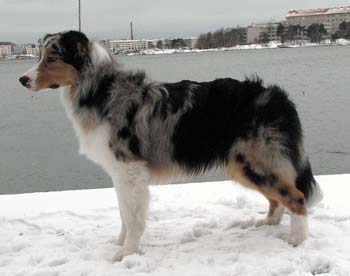 Rico at 7 months1