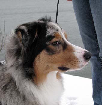 Rico at 7 months11