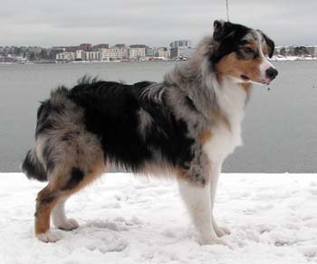 Rico at 7 months12