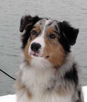 Rico at 7 months5