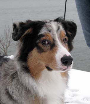 Rico at 7 months6