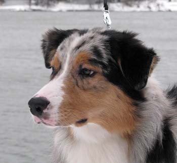 Rico at 7 months9