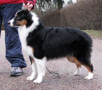 Signe at 7 months