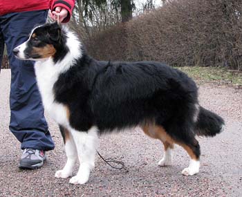 Signe at 7 months1