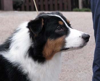 Signe at 7 months4